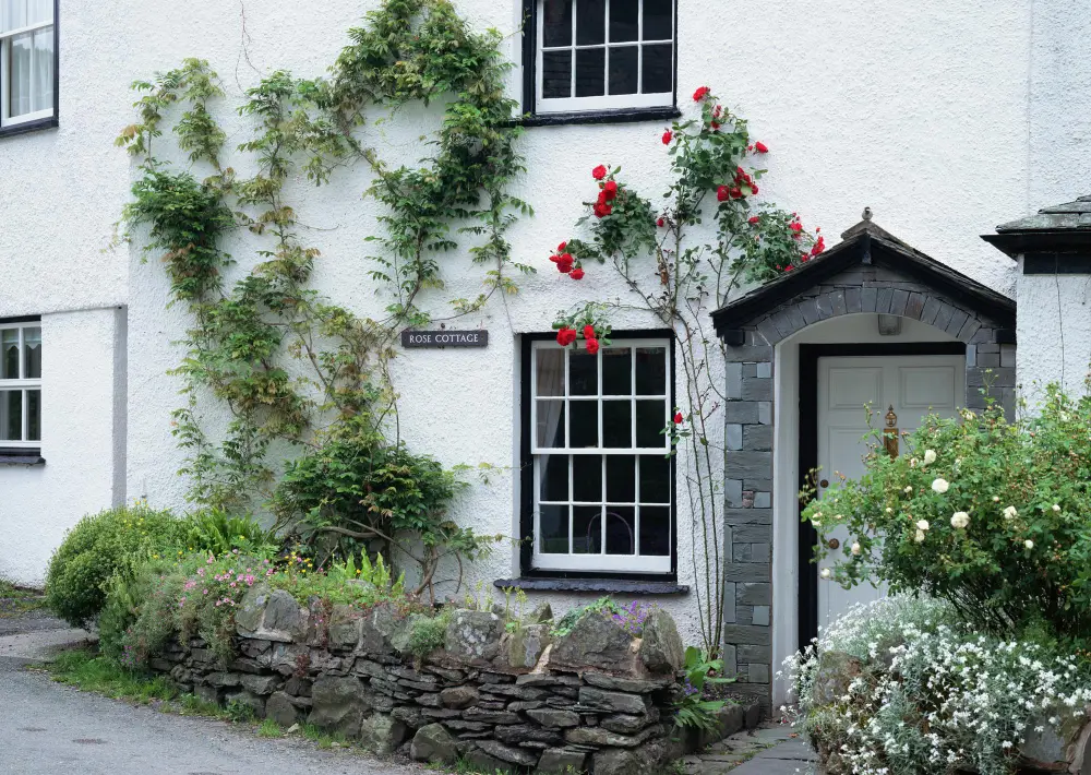 Whitewashed cottage with climbing roses