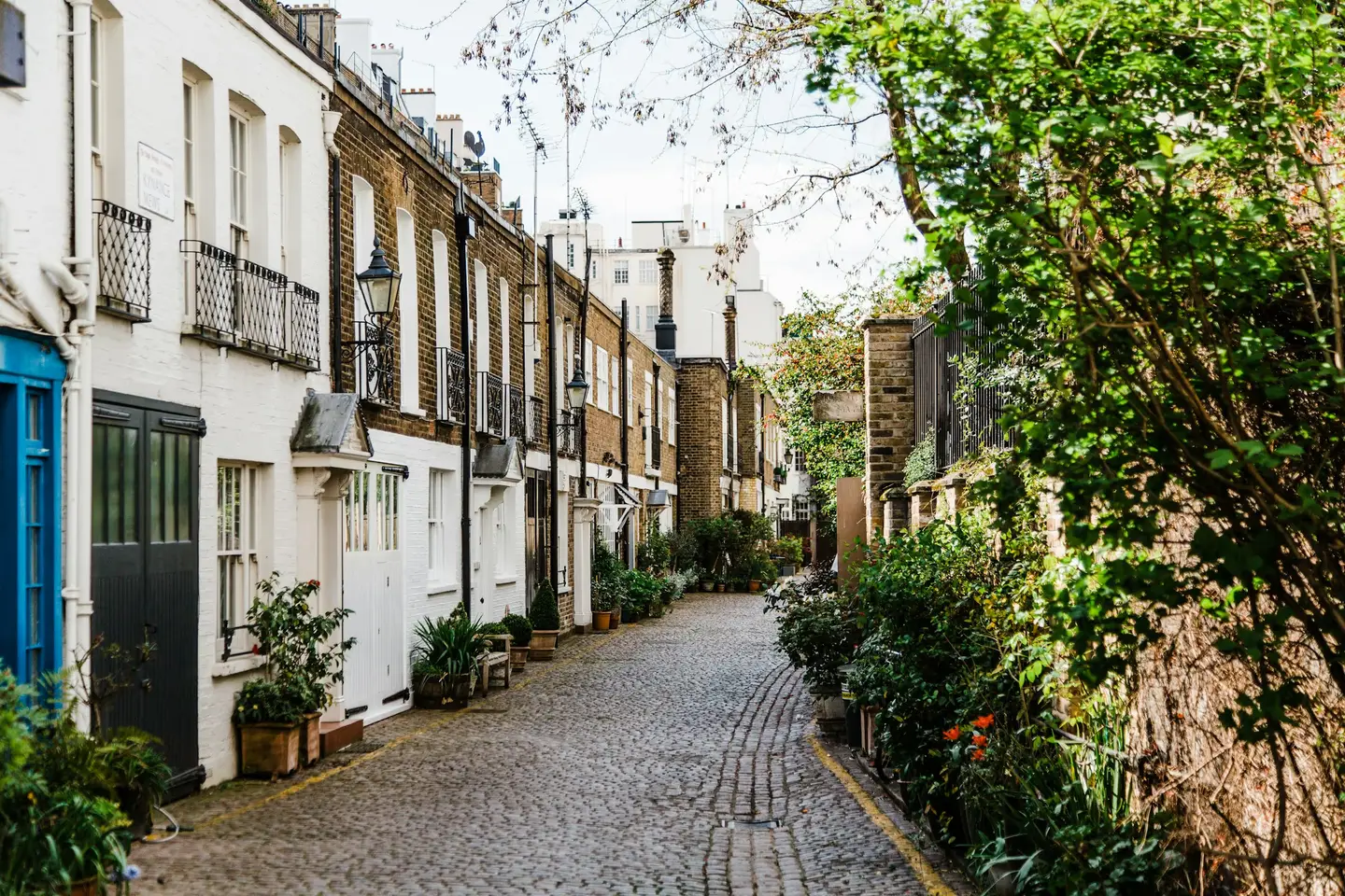 Cobbled mews street lined with houses