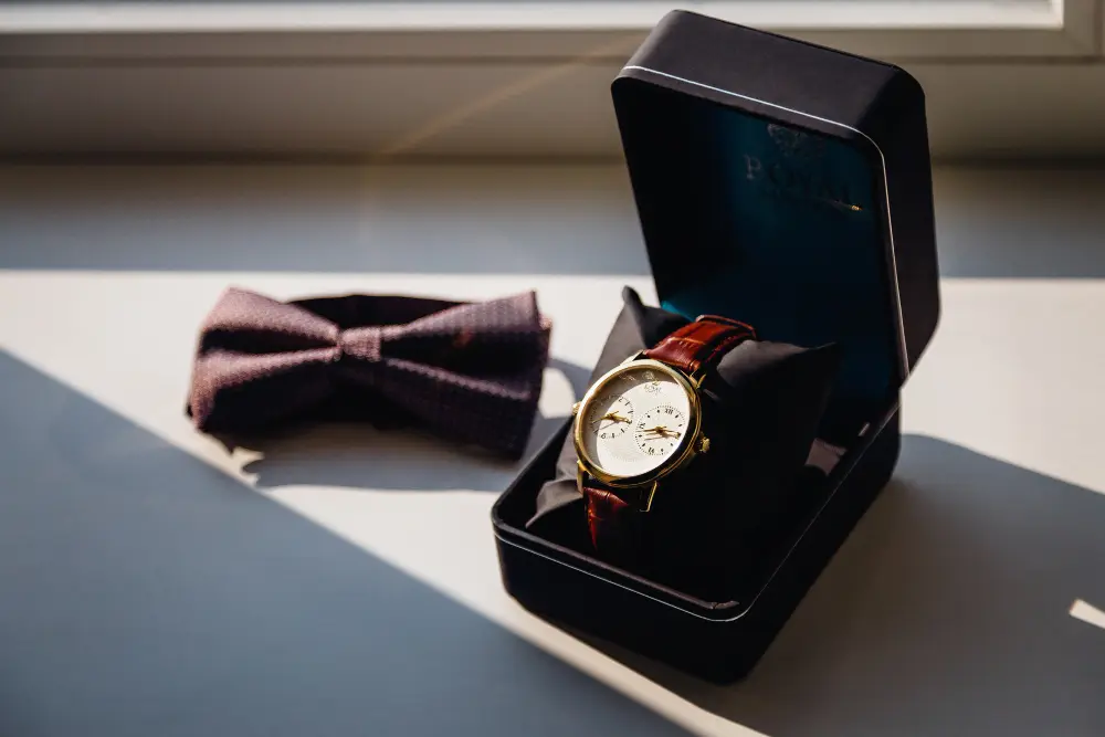 luxury watch in case